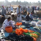 Le marché populaire de Daraw
